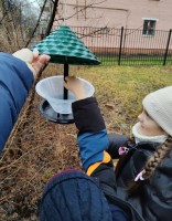 городской природоохранный конкурс-акция «БЕРЕГИТЕ ПТИЦ!»