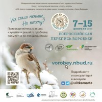 Изображение для новости